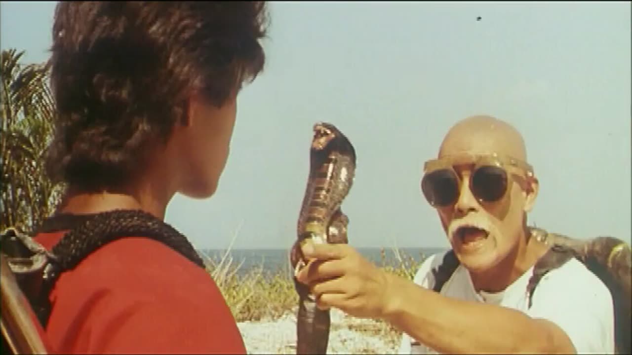 "Dragon Ball: The Magic Begins"