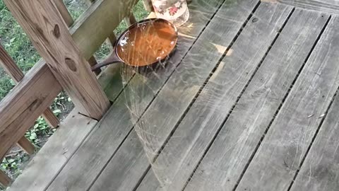 Disappearing spider web