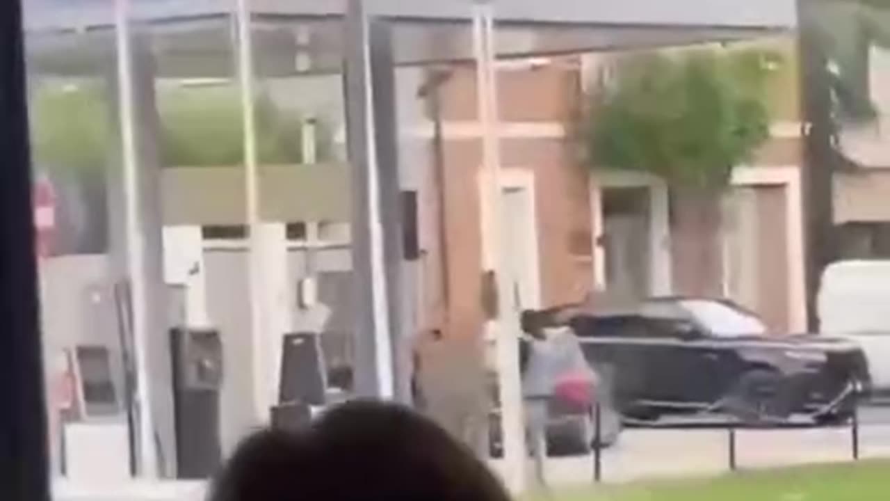 Illigal aliens everywhere