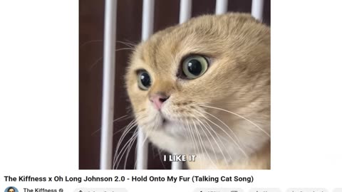 Trump Party Songs