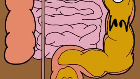 Cartoon memes