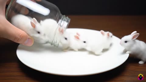 Welcome to our Animals Compilation AI ASMR (Oddly Satisfying) video! 🐾✨