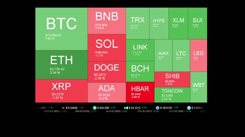 Live Coin Price Watch!