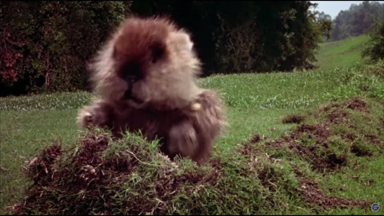 I'm Alright, Caddyshack version