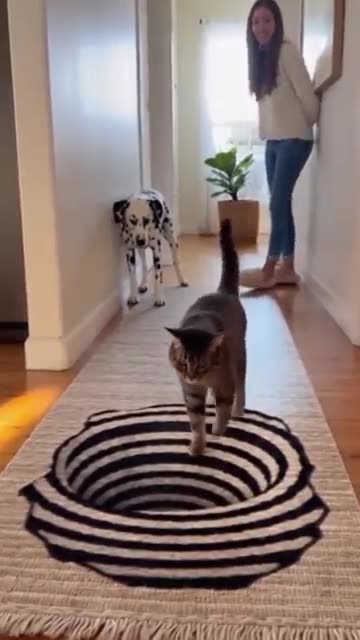 Shorts - Have A Great Day