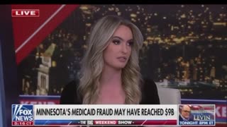 LEGAL Immigration Created the Somali Problem and Needs to Be Addressed