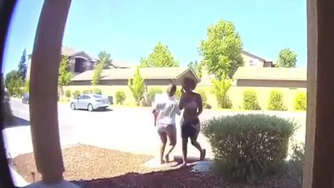 Usual suspect steals baby diapers
