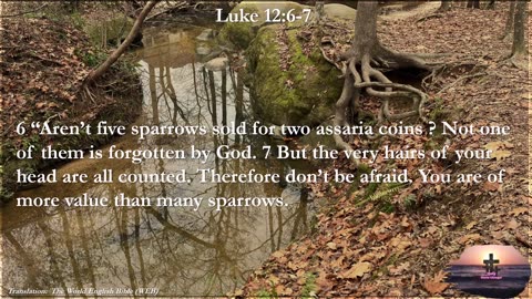 Luke 12:6-7