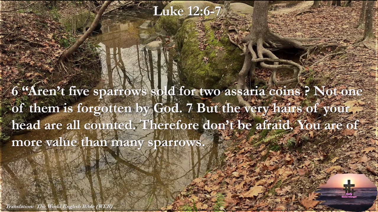 Luke 12:6-7