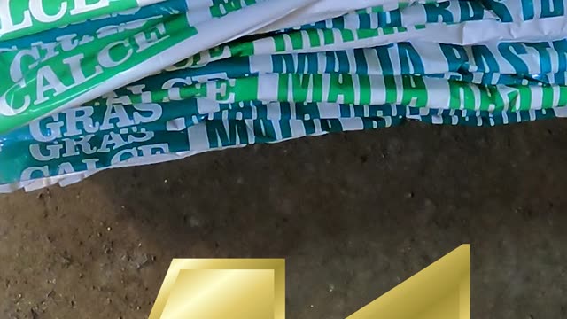 41 Sacchi di Malta BASTARDA