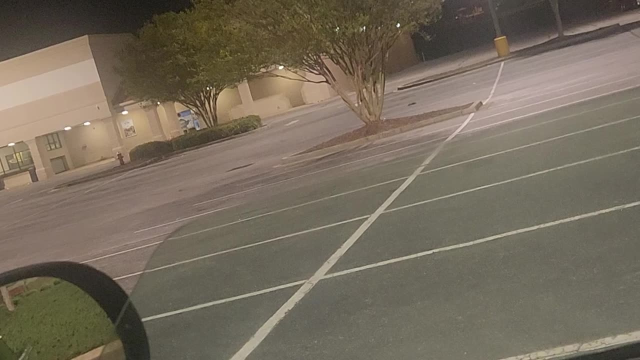 Birds yelling Nigger and Jew??
