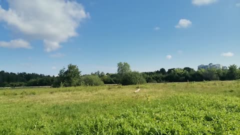 niech trwa ...