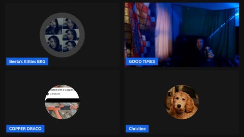 11/05/25 Beeta's Kitties VOD: "Appreciating the real ones & F the rest"