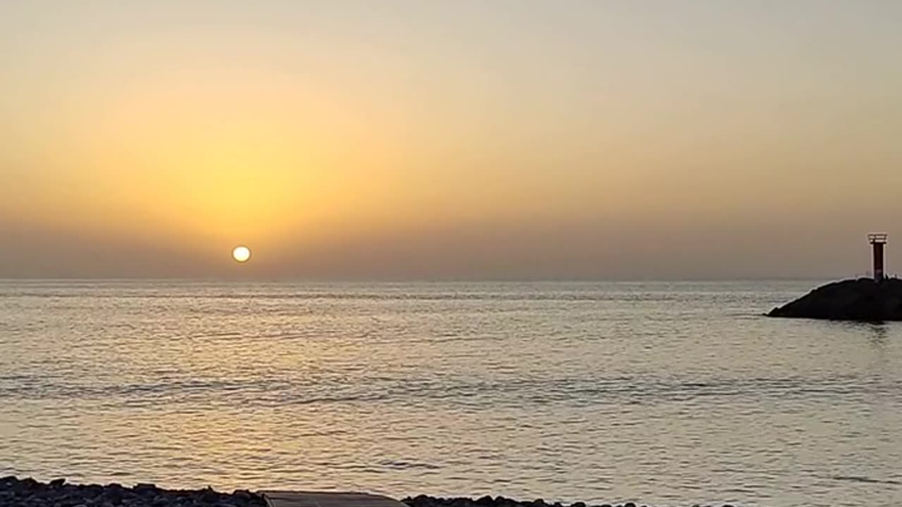 Daily Horoscope | Pisces 🌟