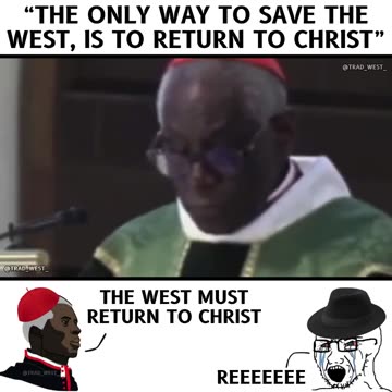 The Next Pope? 🤞(Check Description) | Pope Habbenings