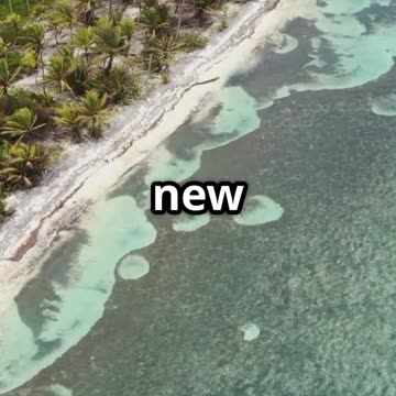 "Columbus Sets Sail: The Journey That Rewrote the World 🌍🚢 #HistoryShorts"