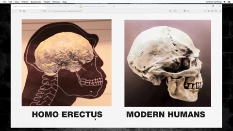 Human Evolution: The Monkey Bias