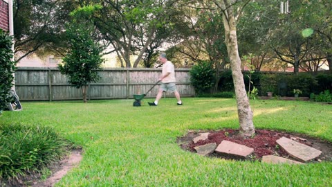 Dealing with Yellow Leaves on Azaleas