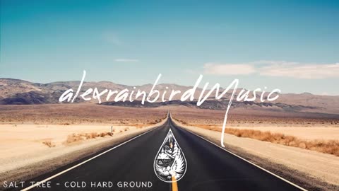 The Open Road 🛣️ - An Indie/Folk/Pop Playlist For Long Drives