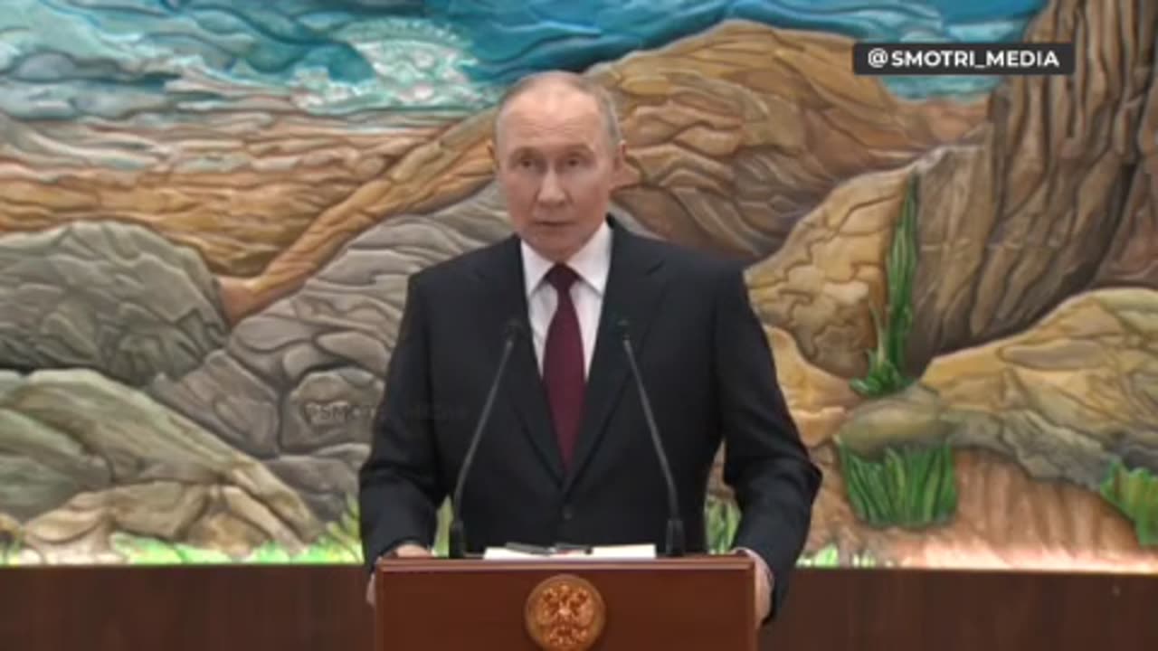 There was no Peace Treaty Project, There was a Set of Issues Proposed for Discussion