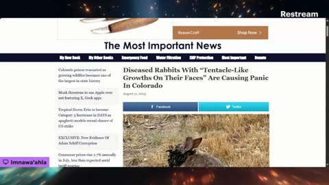 Prophecy Watch: The Pestilence Update: Mosquito Borne Disease! #ENDTIMESIGNS