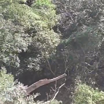 At least 13 dead, 98 others injured after train derailment with 250 people onboard in Mexico