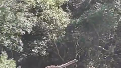 At least 13 dead, 98 others injured after train derailment with 250 people onboard in Mexico