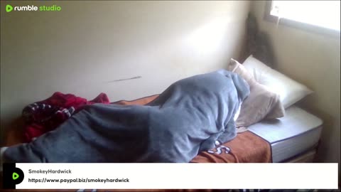 The Most Boring Person On The Internet
