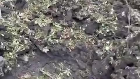 🎯💥 Ukraine Russia War | Ukrainian Missile Strike Targets Park in Selidovo | RCF