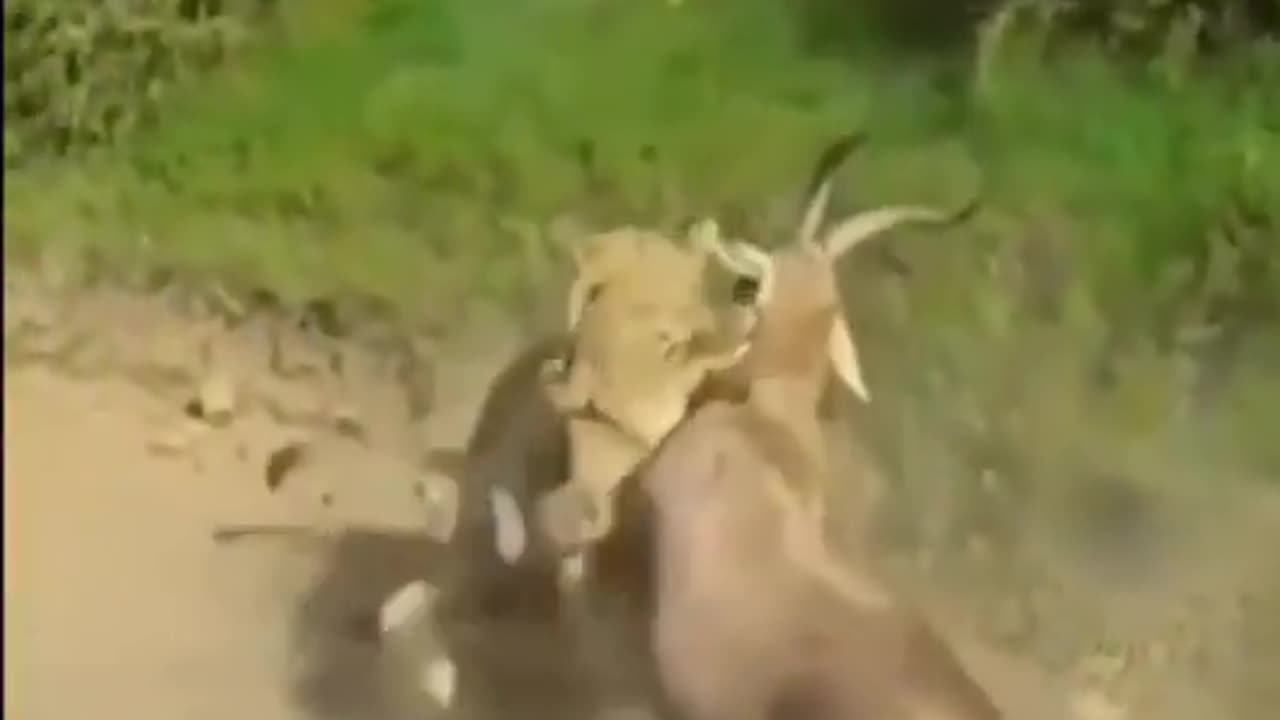 Yeet Out The Sky