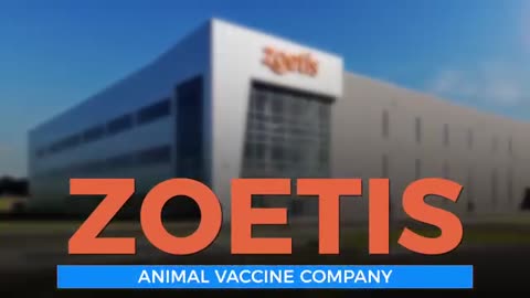 Bird Flu hoax explained