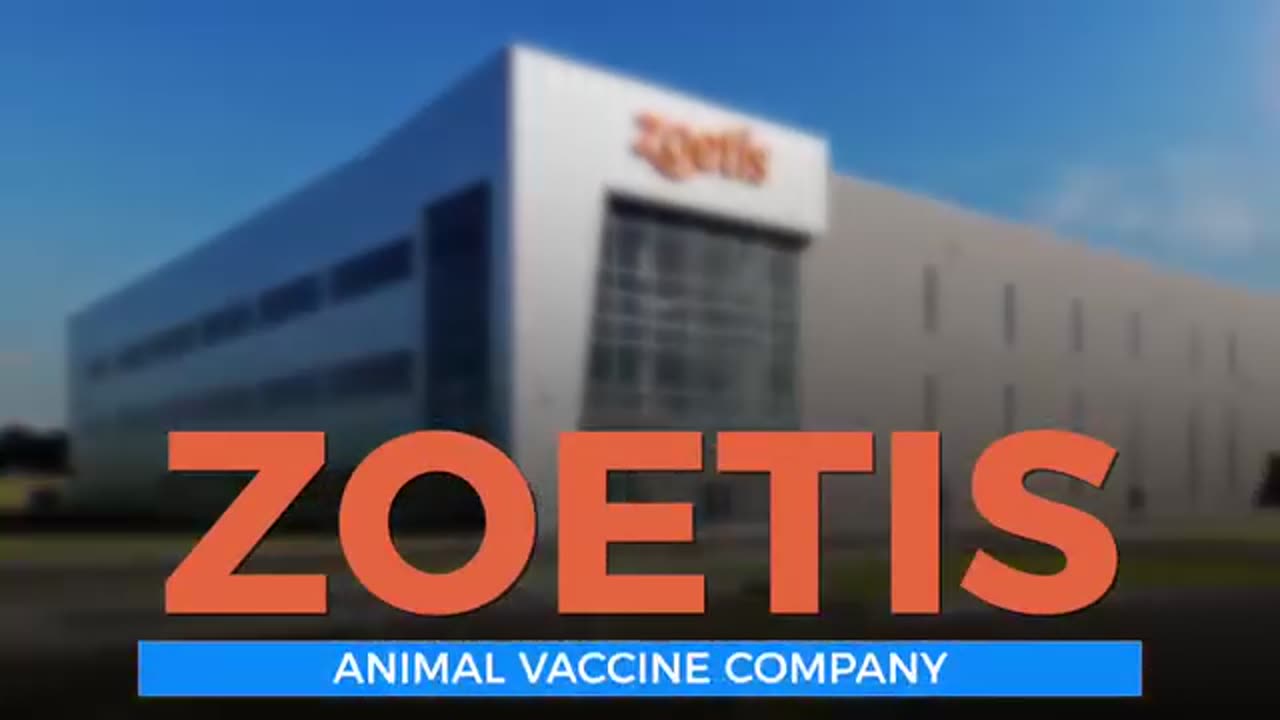 Bird Flu hoax explained