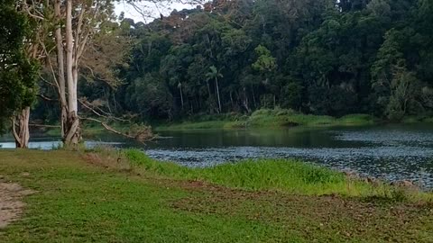 7.8.2025 Barron River Esplanade, Kuranda