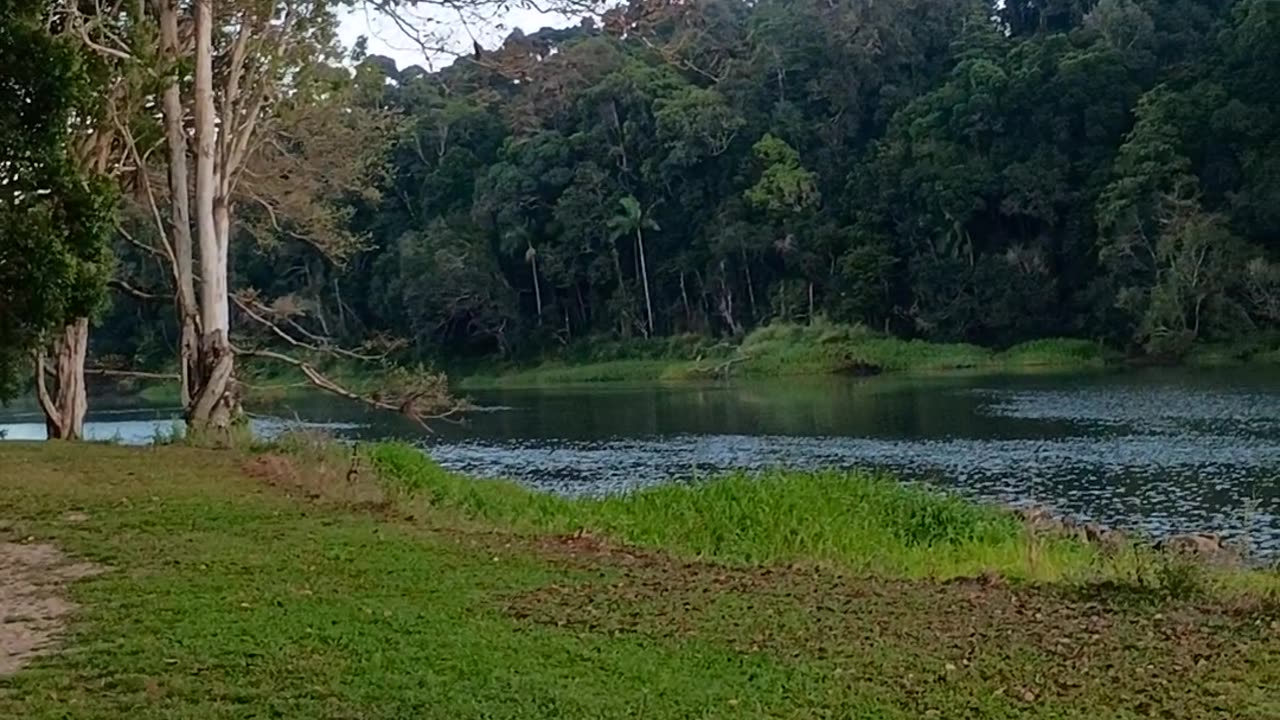 7.8.2025 Barron River Esplanade, Kuranda
