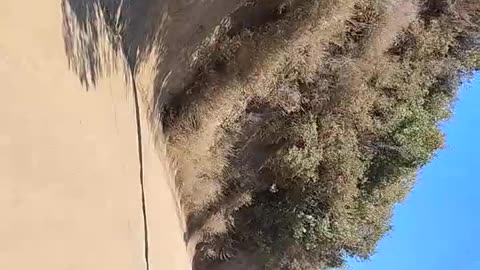Shia, Video recorded 11:20 AM Sept 1, '25 Part 4-4 by Alyssa Black Star Canyon Trail