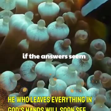 He who leaves everything in God's hands will soon see God's hand in everything.