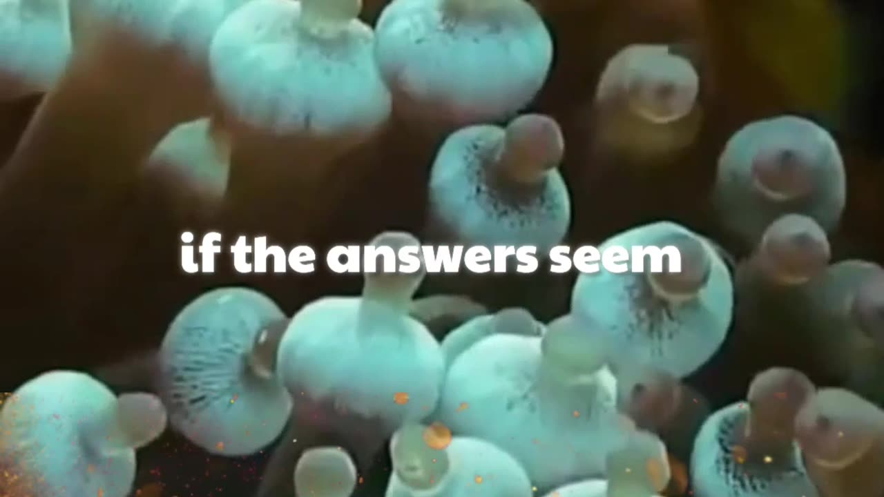 He who leaves everything in God's hands will soon see God's hand in everything.