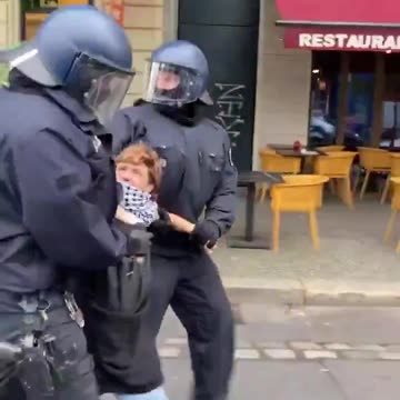 German Police in Action — Not-So-Polite Officers in Black Load a Frau into a Paddy Wagon 😁