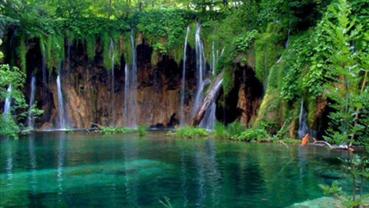 وَعِبَادُ الرَّحْمَنِ - تلاوة عذبه للشيخ ياسر الدوسري
