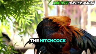 🐓The TRUE Origins of the 'Cox' Surname [MMP23 Clip]