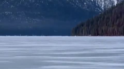 😂🦦 Otter Escape! You Won't Believe How It Happens! | FunFM
			