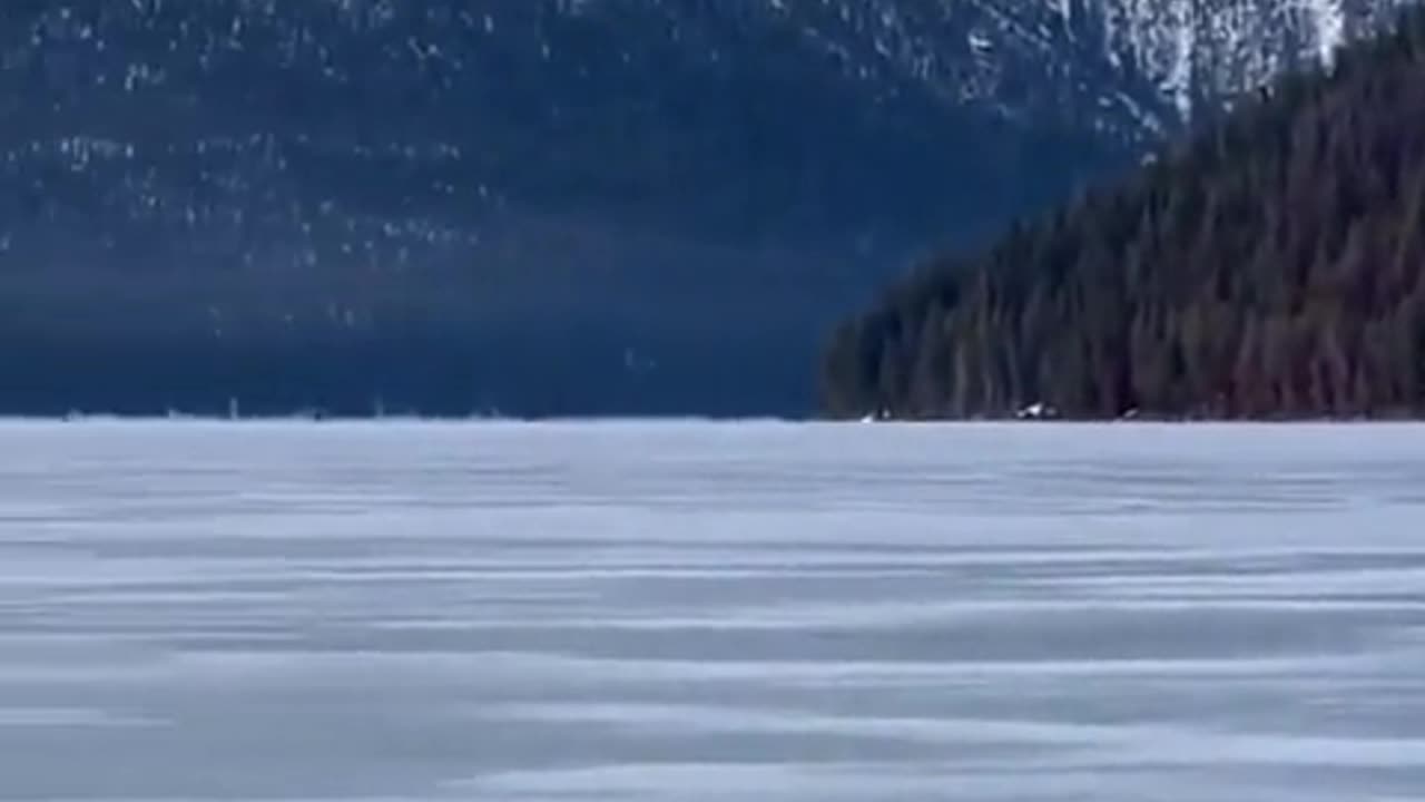 😂🦦 Otter Escape! You Won't Believe How It Happens! | FunFM