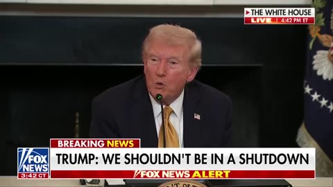 ‘VERY SIMPLE’: Trump calls on Dems to reopen the government