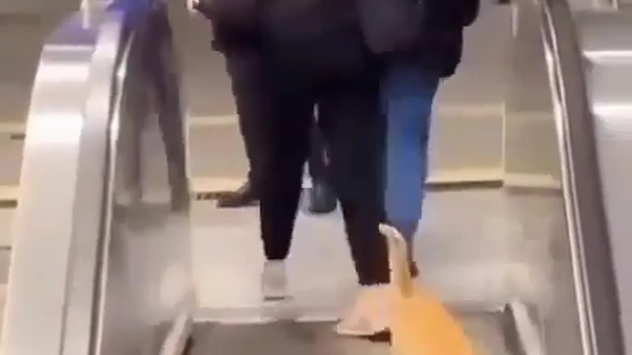 Me trying to go somewhere in life