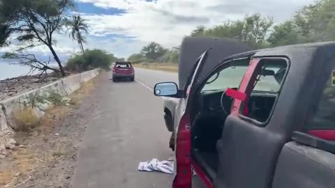 The Maui Lahaina Fire Update Video Nobody Wants You To See