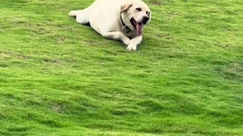 Cute and adorable