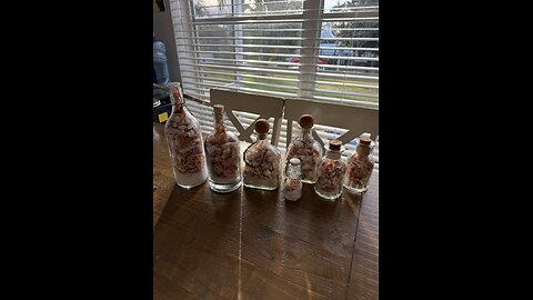 Sand & Shell Bottles Available Now! | 4K
