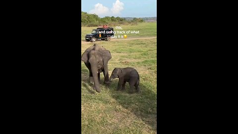 Welcome to Sri Lanka 🇱🇰