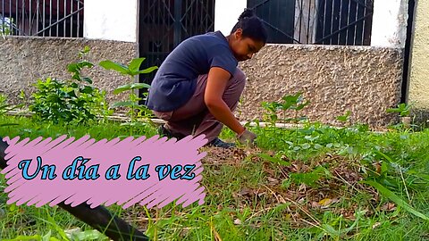 Empezar de cero: Mi refugio y mi jardín | Starting over: My garden sanctuary (English Subs)
