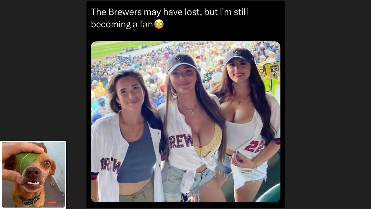 Memes That Will 99.0482% Make You Laugh. (e706)